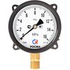 Манометры специального исполнения IP54, изображение 8