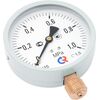 Манометры стандартного исполнения, модель 2, изображение 2